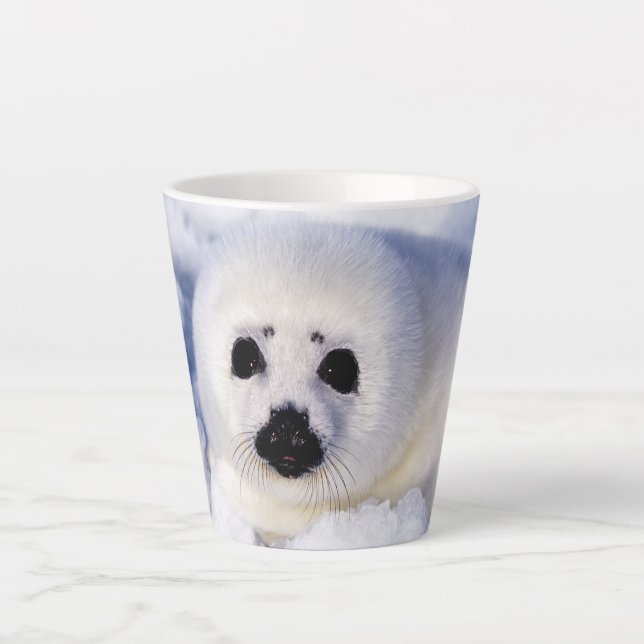 Tasse Latte Portrait d'un bébé phoque du Groenland (Devant)