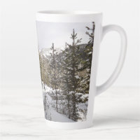 Scene hivernale de montagne neige au Montana