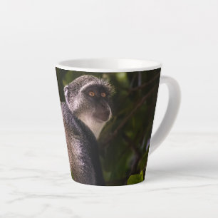 Tasse Latte Singe bleu, Zanzibar