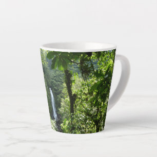 Tasse Latte Trafalgar Falls Tropical Rainforest Photographie
