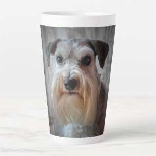 Tasse Latte Visage de chien Schnauzer