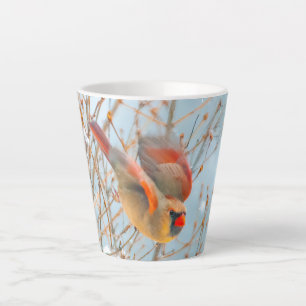 Tasse Latte Vol Cardinal Nord - Photo originale