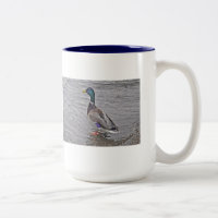 Tasse lustige Ente : amusez-vous