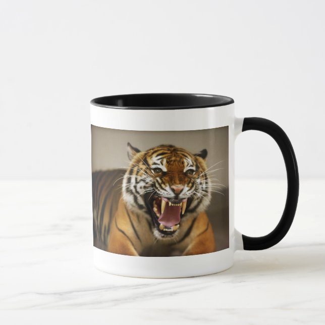 Tasse malaise du tigre #2 (Droite)