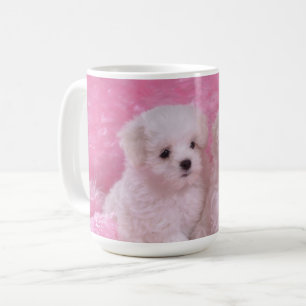 Tasse maltaise adorable de chiots