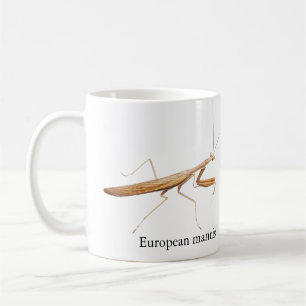 Tasse Mante Européenne