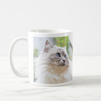 Tasse mignonne de chat de Ragdoll