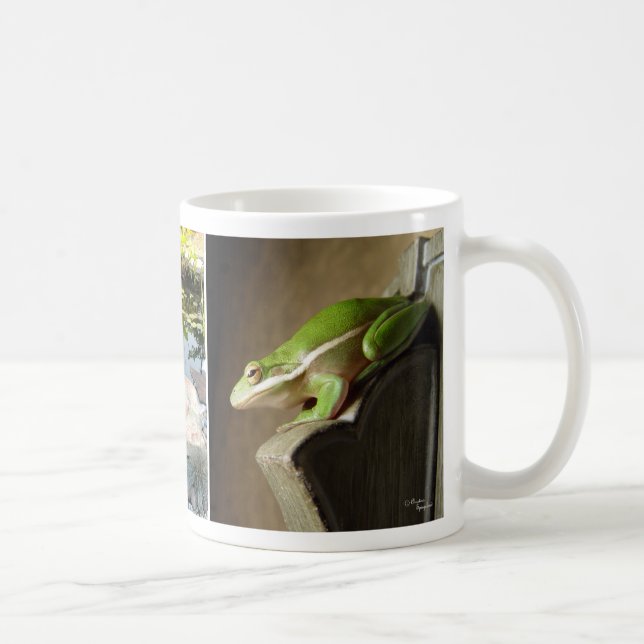 Tasse mignonne de grenouilles d'arbre (Droite)
