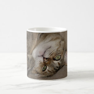 Tasse mignonne de Kitty