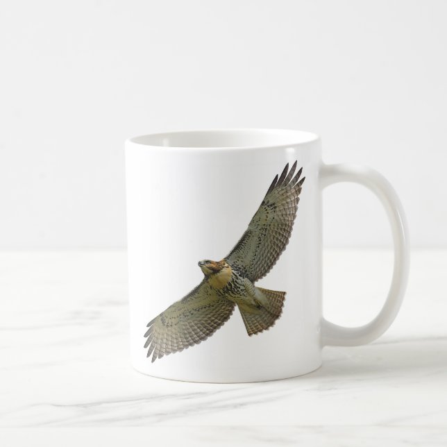 tasse montante de rouge-queue (Droite)