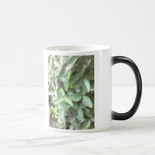 Tasse morphing de photo