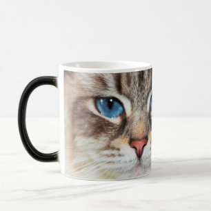 Tasse morphing de purrr-fection des yeux bleus  