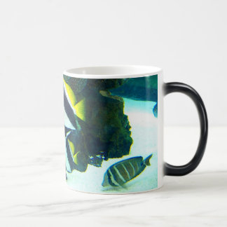 Tasse Morphing des poissons 14