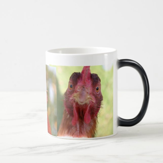 TASSE MORPHING D'OISEAU DRÔLE (Droite)
