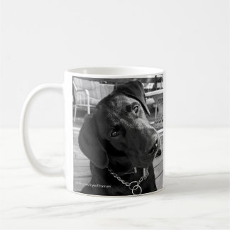 Tasse noire de Labrador