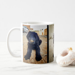 Tasse noire de Terrier de Russe
