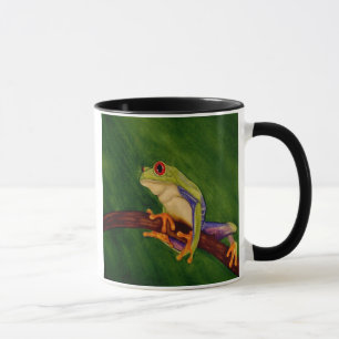 Tasse observée par rouge de grenouille d'arbre