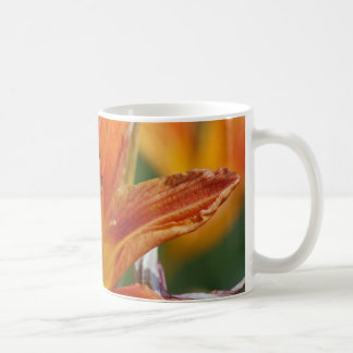 Tasse orange de fleur