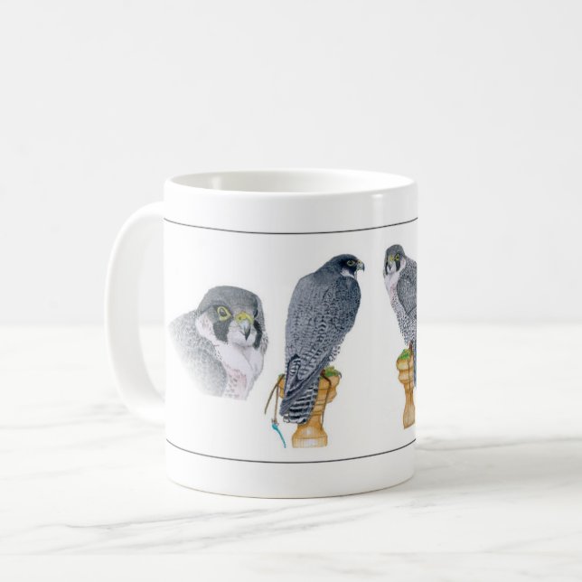 Tasse pérégrine de fauconnerie (Devant gauche)