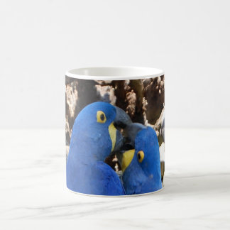 tasse _ perroquets