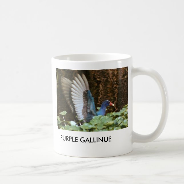 TASSE POURPRE DE GALLINULE (Droite)