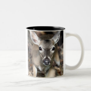 Tasse principale de cerfs communs