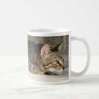 Tasse réfléchie adorable de chat tigré