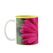 Tasse rose de marguerite de Gerbera