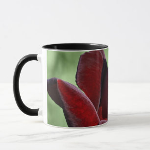 Tasse Rose Rouge