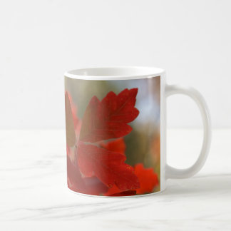 Tasse rouge de feuille d'automne