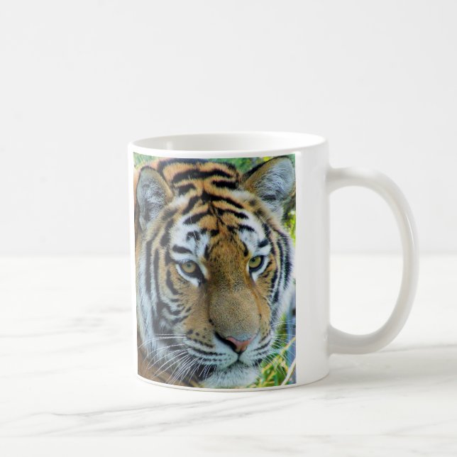 Tasse Siberian Tiger, Amur Tiger (Droite)