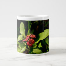Tasse spéciale