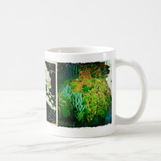 Tasse succulente