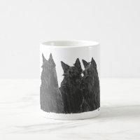 Tasse Terrier Écossais