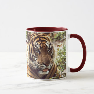 Tasse Tigre de Sumatra