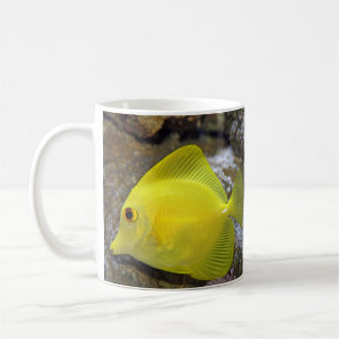tasse tropicale de poissons