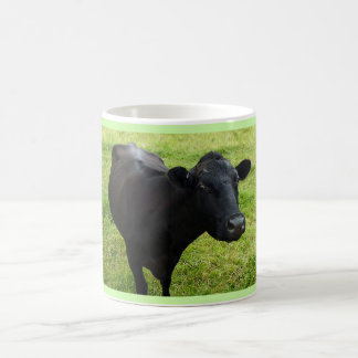 tasse vache Aberdeen Angus