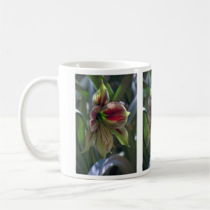 Tasse verte de lis…