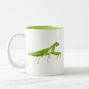 Tasse verte géante de mante de prière