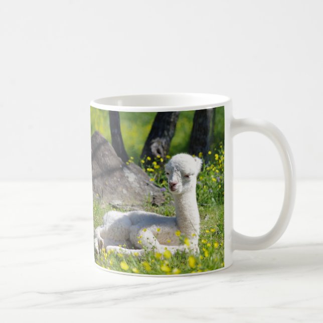 Tasses d'alpaga (Droite)