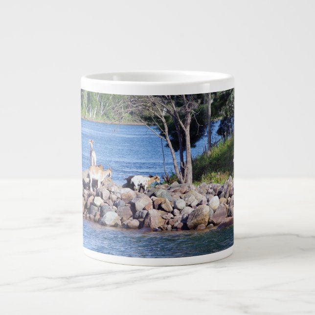 tasses de chèvres sur des rochers (Devant)