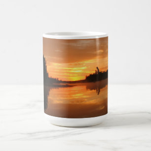 tasses de photographie