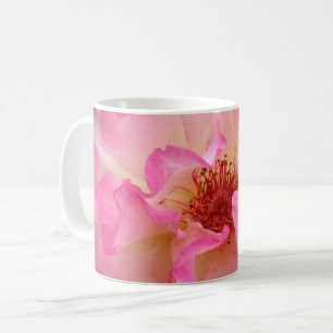 Tasses de rose de rose