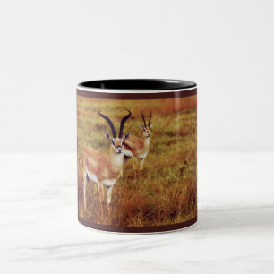 Tasses et tasses de safari de gazelle de Thompsons