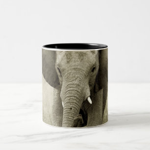 Tasses et tasses d'éléphant africain