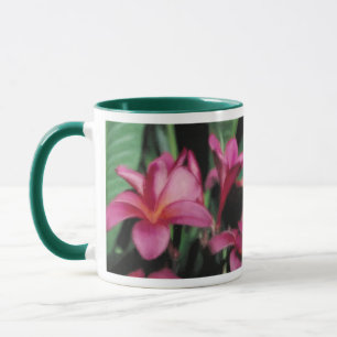 Tasses hawaïennes d'orchidée et de Plumeria