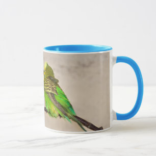 Tasses Perruches en Amour