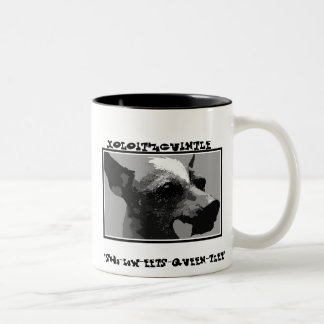 Tasses Xolo…