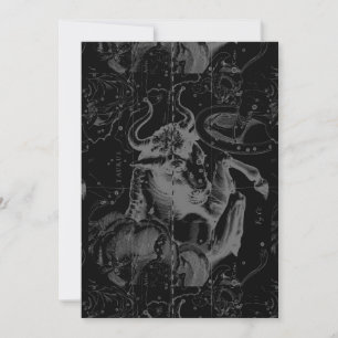 Taurus Constellation Hevelius 1690 Décor