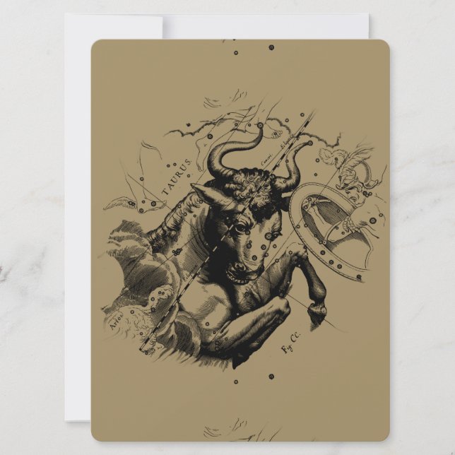 Taurus Constellation Hevelius 1690 Engraving (Devant)